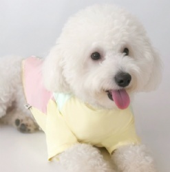 Sun-protective Dog Clothing
